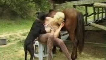 Voluptuous blond woman engages in intercourse with a canine and a small horse on the ranch