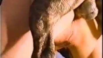 Slender lady harshly penetrated in the rear by canine