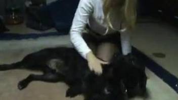 Stockings-clad blonde eagerly sucks on a dog's cock