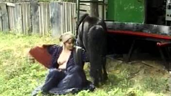 Experienced animal enthusiast opts to perform oral on her stallion's erect shaft at the farm