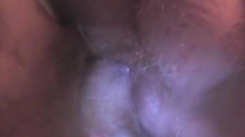 Guy with a bushy anus relishes intimate animal encounters