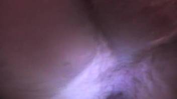 Guy's ass gets pounded by a dog in twisted encounters