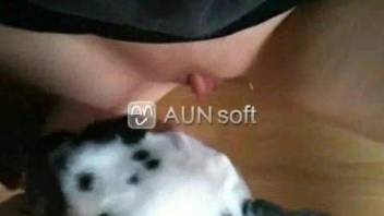 Horny woman loves the dog licking her so fine