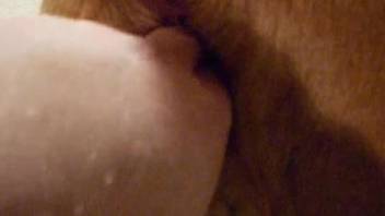Watch how my hard fingers are filling out animal ass in POV