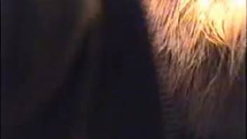 Guy pounding a female horse's soaked vagina doggy style