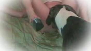 Fine spotted canine in remarkable zoophilia scene