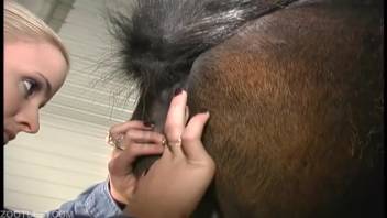 Nude women experiment with equine penis in intense animal encounter scenes
