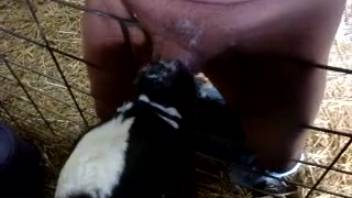 Chubby guy having his dick sucked by a hot cow