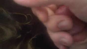 Thrusting my stiff cock into the animal's tight slit just as she enjoys it