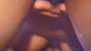 Collection of detailed intercourse clips featuring eccentric animal fetishists