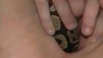 Brunette pushes snake down the pussy in serious solo scenes