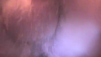 Guy's asshole feels amazing with a dog's dick inside it