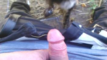 Aroused man has his cock sucked by a seductive beast