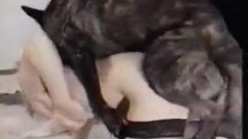 Tattooed vagina mature woman being roughly fucked by a canine
