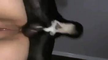 Aroused stud with a stiff erection pounding that snatch doggy style
