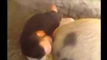 Lucky guy gets to lick this pig's delicious pussy