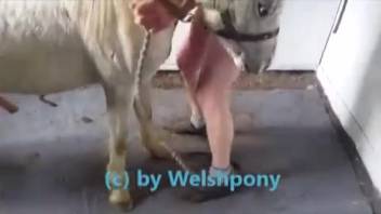 Petite Welsh animal lover deeply penetrated by a well-endowed horse