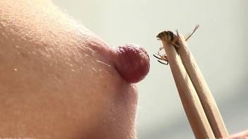 Woman masturbates while enjoying a bee on her hard nipple