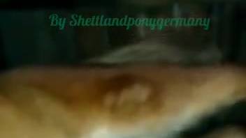 Canine penetrates slender female in both orifices and ejaculates inside her