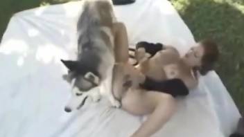 Hairy pussy zoophile getting banged by a hung dog