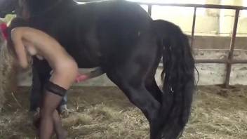 Brunette in stockings finally finds a hot horse to fuck