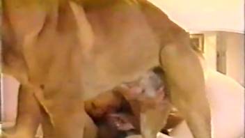 Sexy fair-haired woman engages in bestiality with a man in intense encounters.