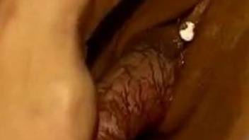 Tight woman moans with a dog dick in her shaved vagina