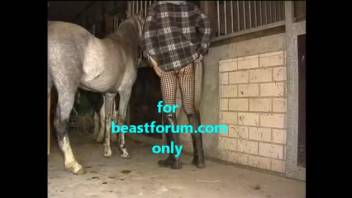 Long-legged beast lover being pounded by a well-hung stallion