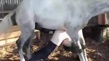 Man bends over to feel the horse's penis in his ass