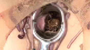 Extreme close-up video highlighting your preferred aroused vagina.