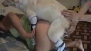 Lady with a nice butt roughly pounded by a dog in homemade clips