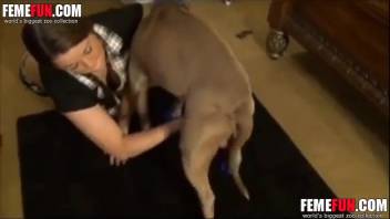 Amateur bestiality lover in a skirt takes it doggy style