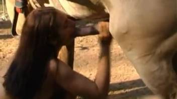 Wild outdoor bestiality video featuring a hot girl 18+ blowing a massive horse cock