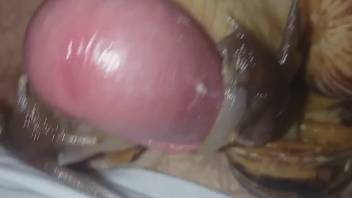 Snail slithering over the guy's cock heightens his climax