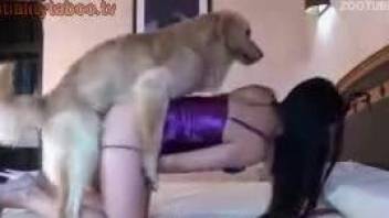 Dog licking and fuck girl