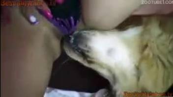 Dog Licking and Pounding the Girl