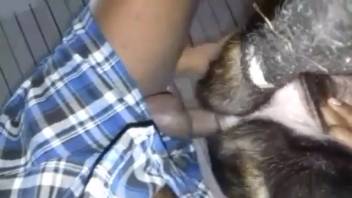 Hot beast having her cunt screwed by a man's dick