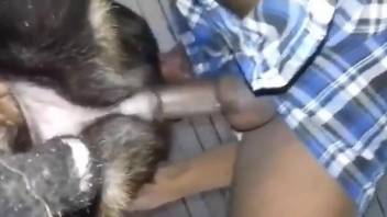 Sexy animal getting its pussy fucked  by a human cock