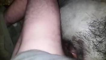 The hairy hole is fucked by a kinky zoophile