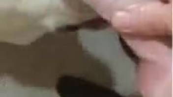 Guy receives an amazing oral sex from his hot beast