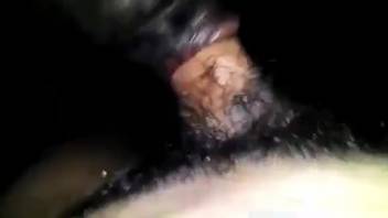 Guy's shaggy dick being satisfied by a filthy hound