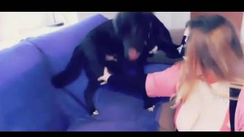 Masked babe lovingly jerks her black dog's dick