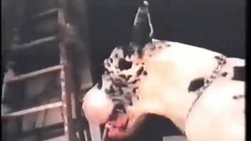 Busty older woman with massive breasts, kinky domestic encounter with the canine