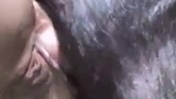 Ebony creature pounding a bestiality enthusiast's moist pussy from the rear