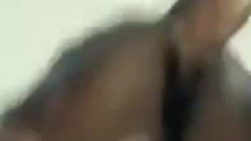 Steamy animal sex scene filmed from underneath