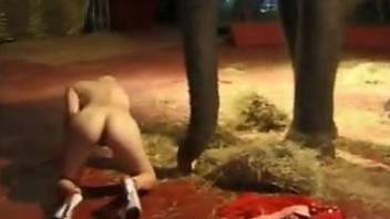 Brave blonde stays naked in front of curious circus elephant