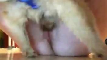 Hardcore Skype porn video focusing on bestiality