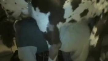 Spotted dog pounds a hot chick in front of her husband