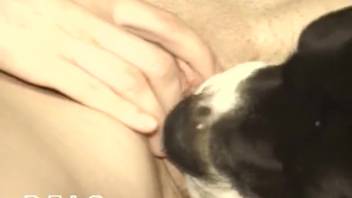 Astonishing animal encounters featuring a slender European animal enthusiast