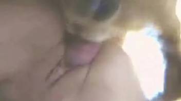 Slender vixen senses the canine shaft thrusting into her incredibly well